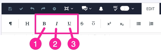 Close-up of the left side of the Edit tab's toolbar. There are a series of icons. Going from the left, the third, fourth, and fifth icons are bold, italic, and underline. There are callout labels to highlight these options and bold is labelled 1, italic is labelled 2, and underline is labelled 3.