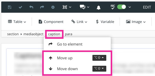 Element structure menu. The caption element is selected revealing a menu that contains the options go to element, move up, and move down.