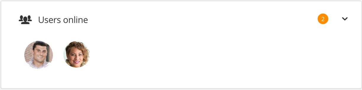 Users online panel showing two users are currently logged in to the Paligo instance.