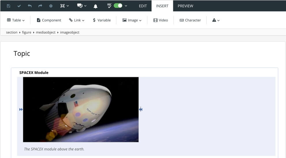 A topic containing a figure. There is an image of a space shuttle and it has a title and a caption.