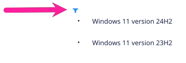 An itemized list containing two items that are relevant to Microsoft Windows. At the top of the list is a blue filter icon. The icon is a funnel.