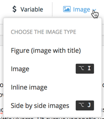 The Insert menu has an Image option that is selected here, revealing a list of image options. There are options for figure, image, inline image, and side by side images.