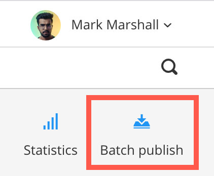 The top corner of the Paligo dashboard, showing a Statistics icon and a Batch Publish Icon. There is a red box around the Batch Publish icon to indicate that this is the icon being referred to.