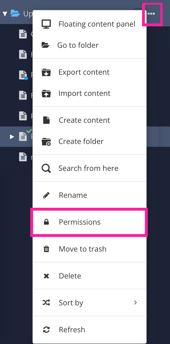 Content Manager side panel shows the options button has been selected for a folder. It reveals a menu containing various options, including the Permissions option.