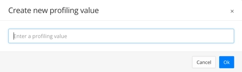 Create new profiling value dialog. It has a field for entering a new filter value.