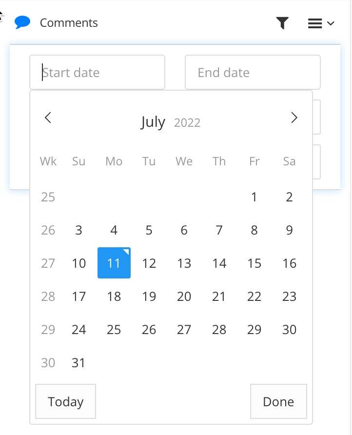 Comments sidebar with the filter section shown. The start date field is selected, revealing a calendar, where you can select the start date.