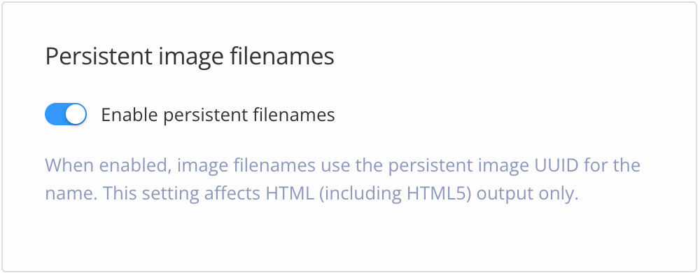 Persistent image filenames setting with enable persistent filenames turned on. This means images use a static ID for the filename for HTML outputs.