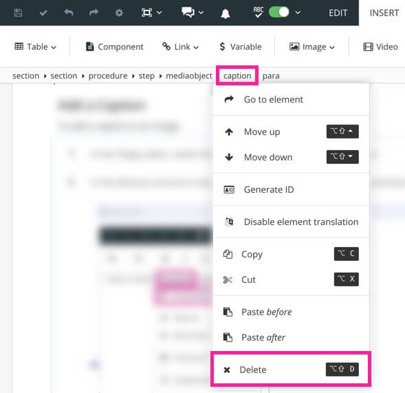 element structure menu. The caption element is selected revealing a dropdown menu. In the menu, a callout box shows that you should select the delete option.